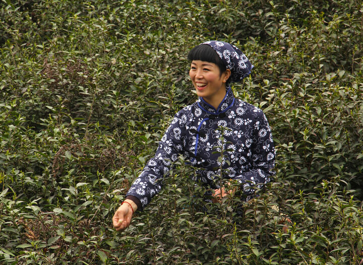 伊在人线永久免费观看区